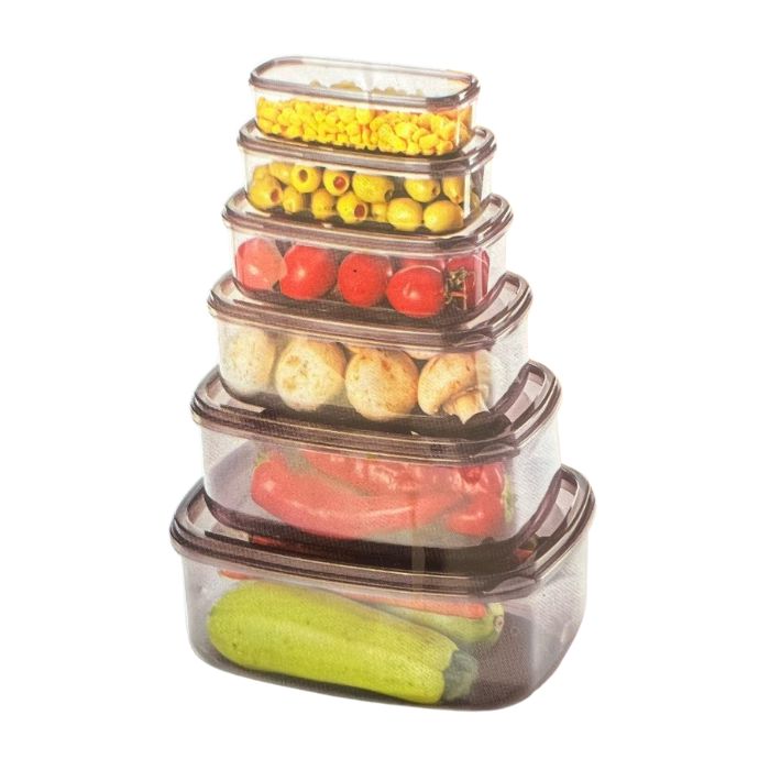 Violet House 0496 Transparent Rectangular Food Storage Set – Grey Lid LARGE (6 pcs)