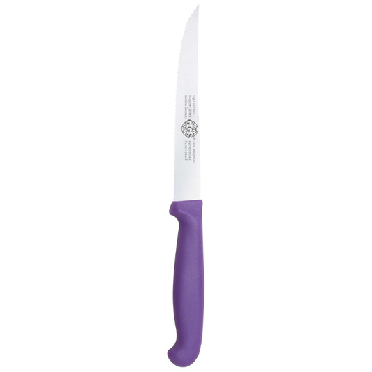 Dils Purple GGS Multi-Purpose SAW Pointed Blade Serrated Utility Knife 13cm